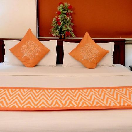 Shree Mohan Home Stay- A Heritage Home Jodhpur  Esterno foto